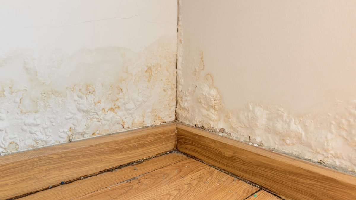 inversão de polaridade