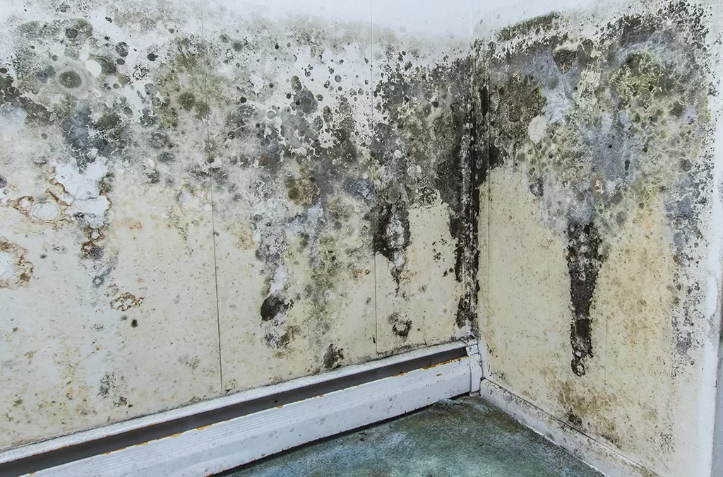 inversão de polaridade