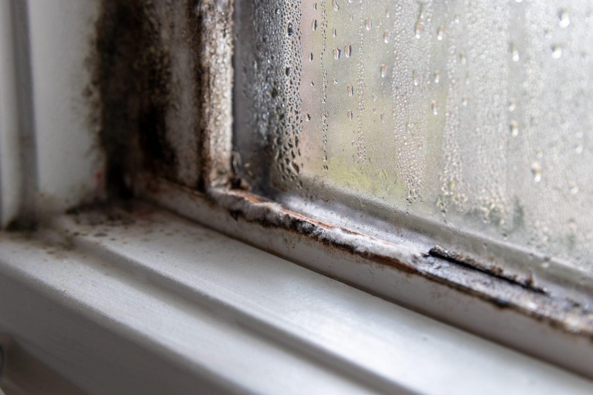 A solução contra a humidade ascendente